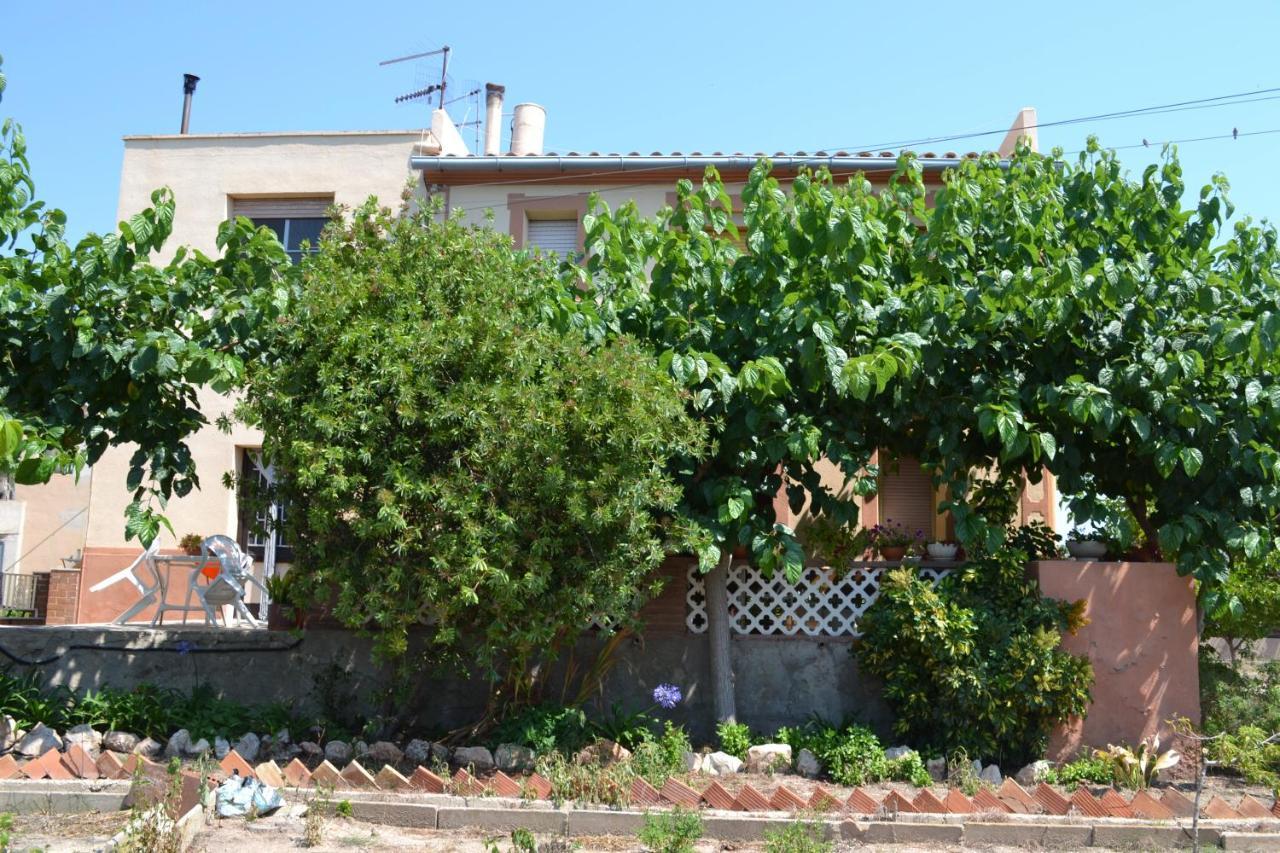 Allotjament Casa M Cinta Deltebre